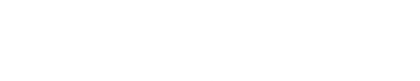 Version